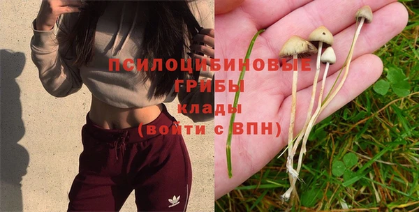 марихуана Богородск