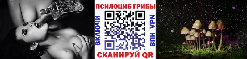 Галлюциногенные грибы Cubensis  Краснотурьинск 